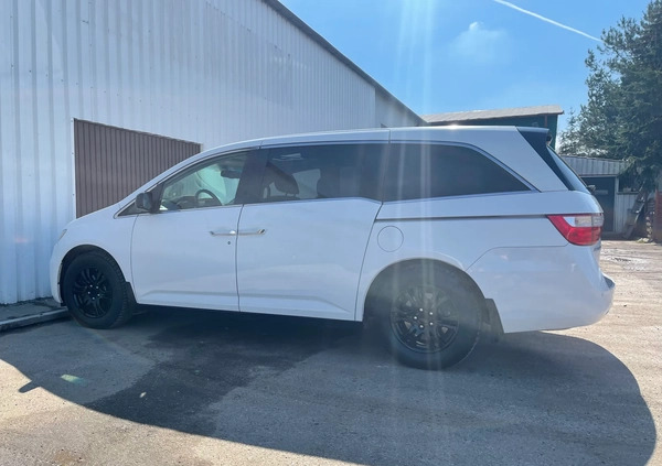 Honda Odyssey cena 69000 przebieg: 236500, rok produkcji 2011 z Lewin Brzeski małe 352